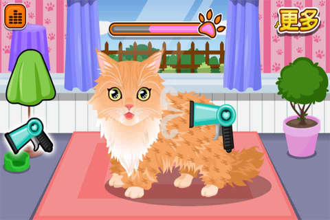Meow Show-CN - náhled