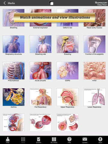 Respiratory Anatomy Atlas: Essential Reference for Students and Healthcare Professionals screenshot 9