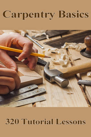 Carpentry Basics - náhled