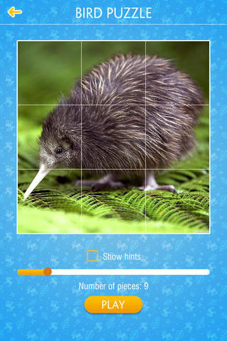 Bird Jigsaw Puzzle - náhled
