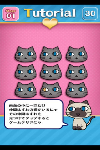 Brain Training - Aha cat looking - náhled