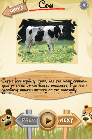 Letz Learn Animals - náhled