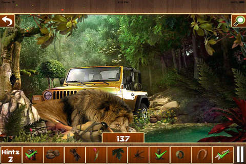 Hidden Objects : Forest Story - náhled
