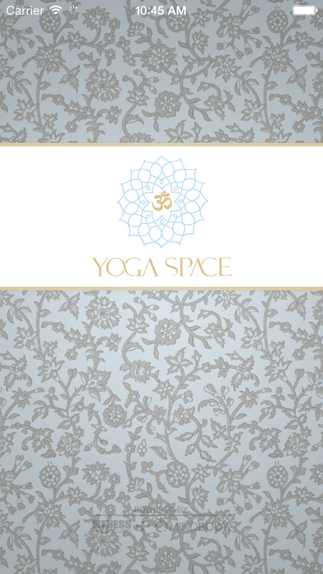 Yoga Space Moscow image #1