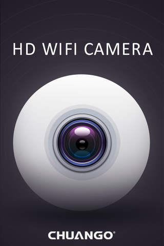 IP113 Camera - náhled