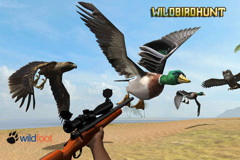 Wild Bird Hunt - náhled