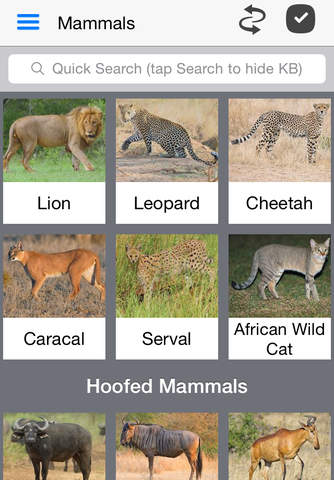 Animals of Kruger - náhled