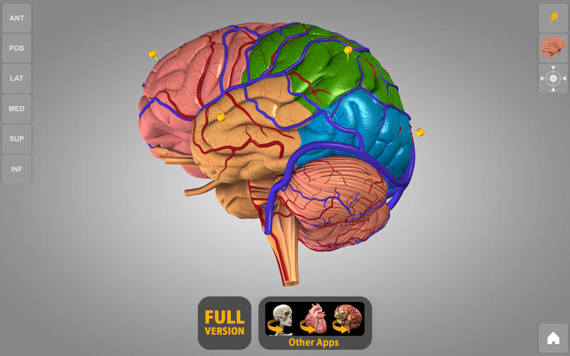 3D Brain Atlas Revolutionary 3D Digital Brain Atlas On EarthSky XVYP