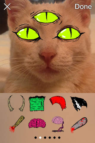 Kachenstein: Punk Rock, Celluloid and Living Dead - náhled