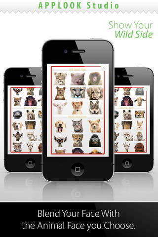 Show Your Wild Side - Animal Fusion - náhled