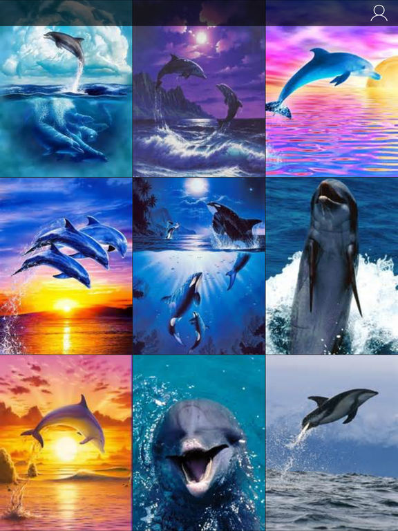 Dolphin 🐬 Under The Sea Live Wallpaper - free download