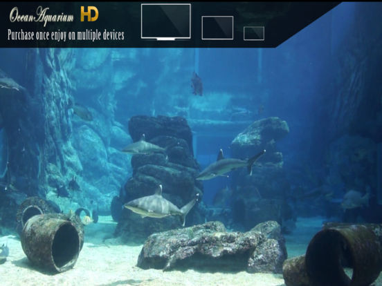 Ocean Aquarium HD screenshot 7