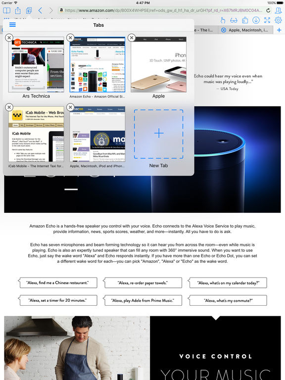 PurifEYE Browser screenshot 5